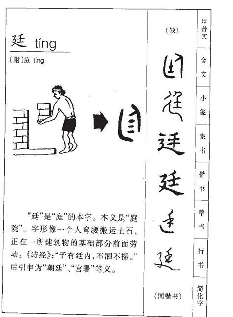 廷意思名字|廷字五行属什么